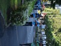 Tn dsc 6126